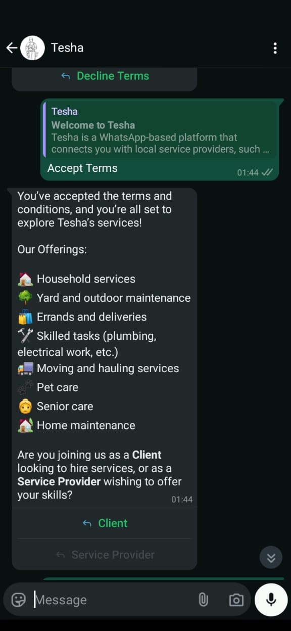 Terms acceptance in WhatsApp chat
